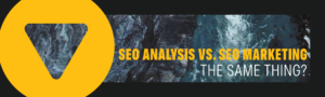 SEO Analysis